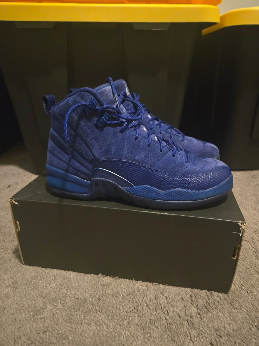 Air Jordan 12